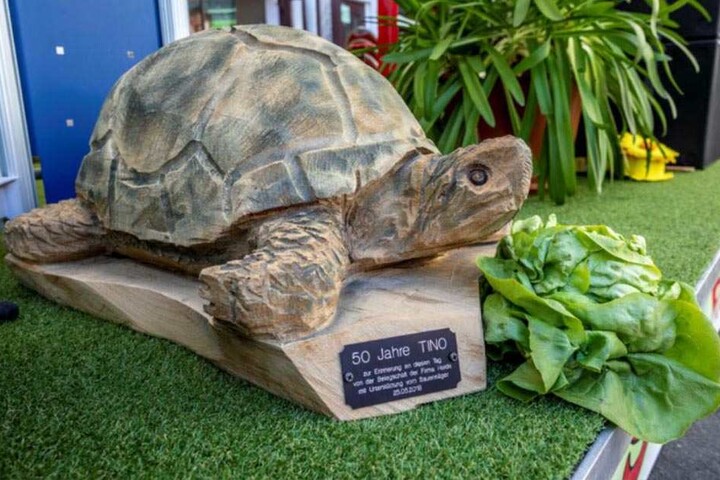 Die Belegschaft der Kelterei überraschte ihren Chef Tino zum Geburtstag mit einer Schildkröte aus Holz. Wahrscheinlich soll er so alt wie sie werden.