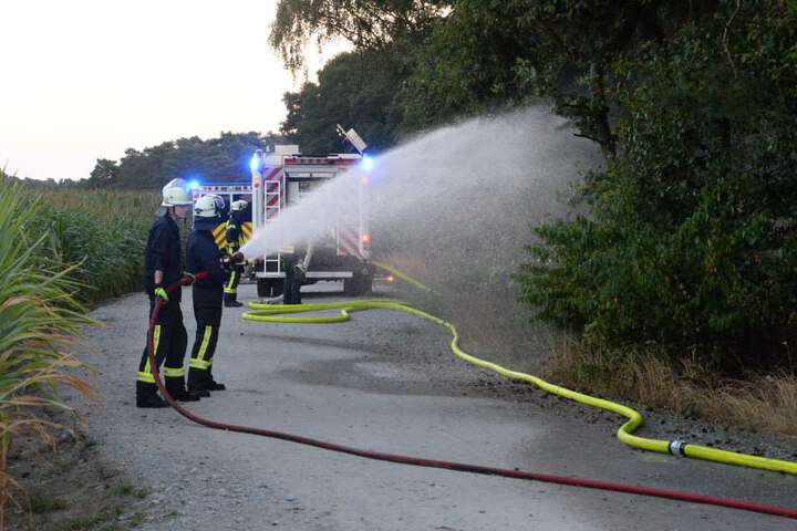 Zahlreiche Schläuche wurden am Einsatzort verlegt.