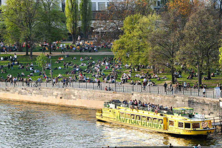 Blick vom Dach des Berliner Doms in nördlicher Richtung auf die Spree und den James-Simon-Park in Berlin-Mitte. (Archivbild)