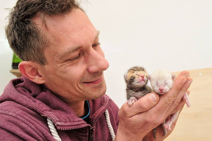 Schöne Bescherung: Moderator Karsten Kolliski (44) hat vier kleine Bengalkatzen-Babys "bekommen".