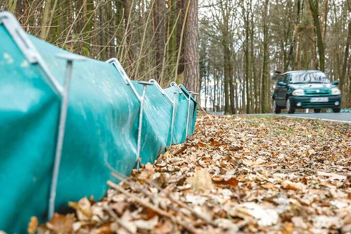 Dieser Krötenzaun verläuft an der Grenze zwischen Dresdner Heide, Schönborn und Liegau-Augustusbad.