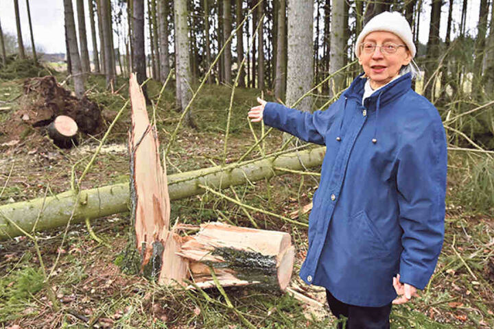 Veronika Hegner (68) fürchtet sich vor weiteren Baumstürzen.