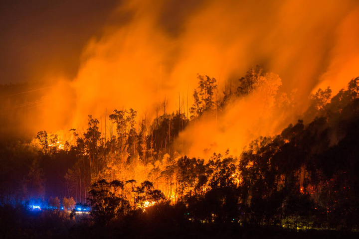 Der verheerende Waldbrand ist der Polizei zufolge durch Blitzschlag ausgelöst worden.