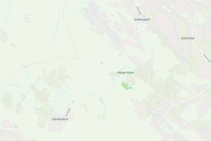 Der tragische Unfall ereignete sich auf der L1 zwischen Gollensdorf und Ziemendorf.