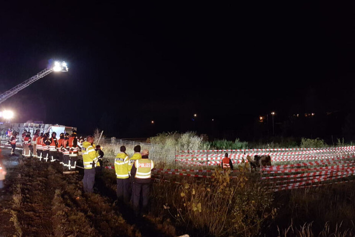 Die Einsatzkräfte befreien die Rinder aus dem verunglückten Laster.