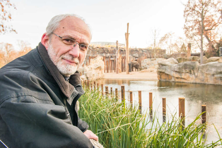 Der Zoologische Leiter Wolfgang Ludwig (59) ist froh, dass Tembo es langsam angehen lässt.