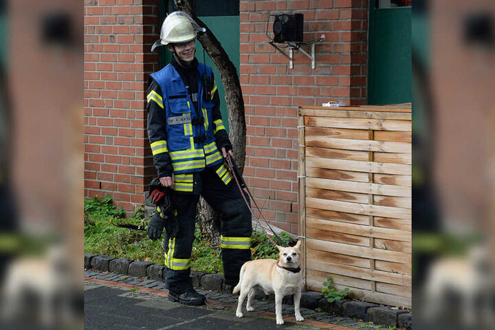 Ein Feuerwehrmann musste zwischenzeitlich auf einen Hund aufpassen.