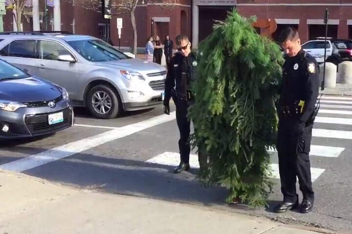 Der als Baum verkleidete Mann wollte auf einer Kreuzung den Verkehr blockieren.