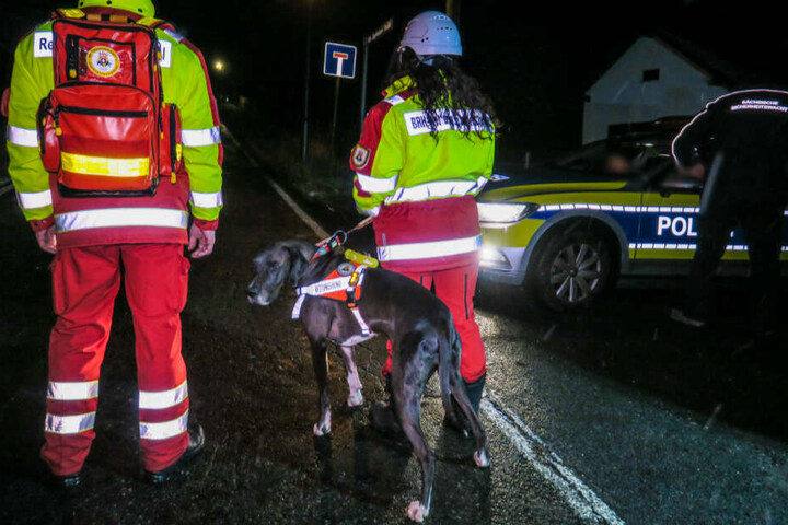 Die Polizei suchte mit Unterstützung von Fährtensuchhunden, Kollegen der Polizeidirektion Zwickau, der Bergwacht sowie Rettungshundestaffel und einem Polizeihubschrauber. (Archivbild)