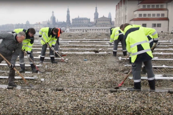Schon nach zweieinhalb Wochen war Photovoltaik-Anlage komplett aufgebaut.