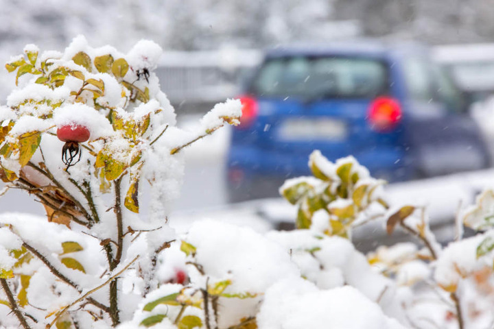 Im Thüringer Wald hat es den ersten kräftigen Schneefall gegeben.