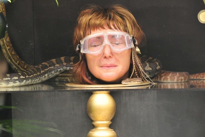 Verhext Hanka hier gerade die Pythons und schickt sie zu Kader?
