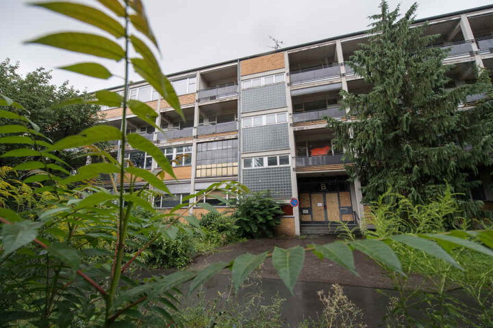 Verlassen und vergammelnd stehen die alten ehemaligen botanischen Institute der Universität auf dem Gelände.