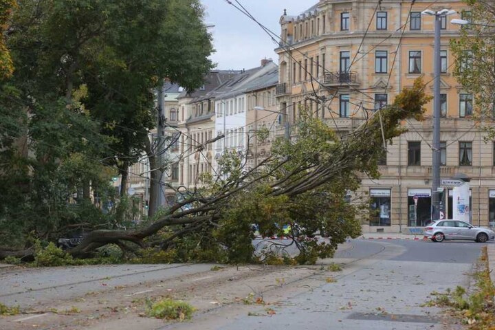 Auf der Leipziger Straße in Dresden wurde die Oberleitung beschädigt.