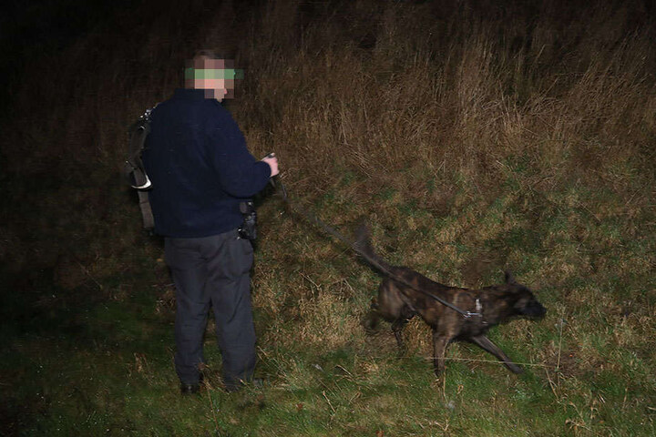 Mit einem Hund wird nach dem Flüchtigen gesucht.