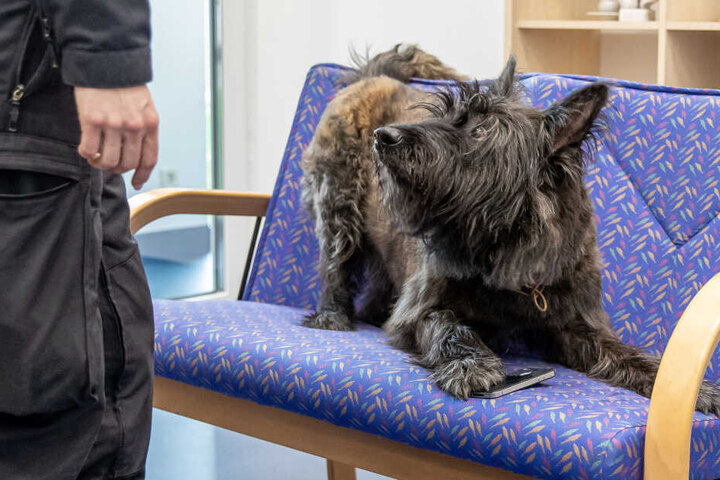 Die Polizei NRW möchte den Bestand an tierischen "Schnüfflern" von derzeit 5 auf mindestens 20 erhöhen.