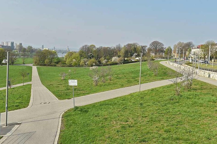 Der Oberkiesweg Richtung Elberadweg. Hier wurde 'Gina' von einem rasenden Radfahrer überfahren.