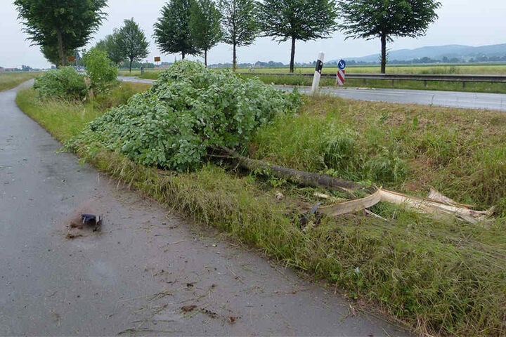 Diese drei kräftigen Bäume durchbrach die Autofahrerin mit ihrem VW Passat.