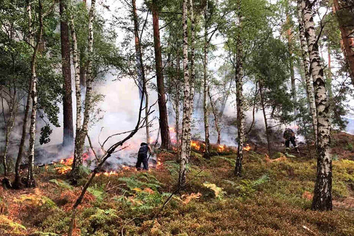 Ein Großaufgebot der Feuerwehr musste den Brand in den Felsen löschen