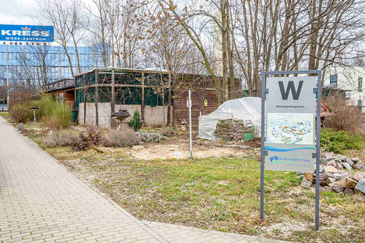 In der Wildvogelauffangstation des
Dresdner Umweltzentrums warten über 30 Vögel auf ihre Entlassung.