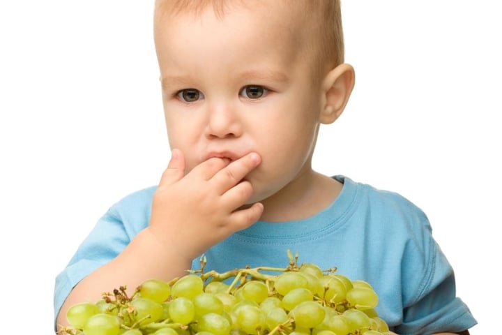 Weintrauben sollten für Kinder lieber zerkleinert werden.