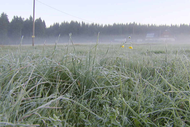 Minus 2,8 Grad zeigte das Thermometer am Mittwochmorgen am Boden in Kühnhaide an.
