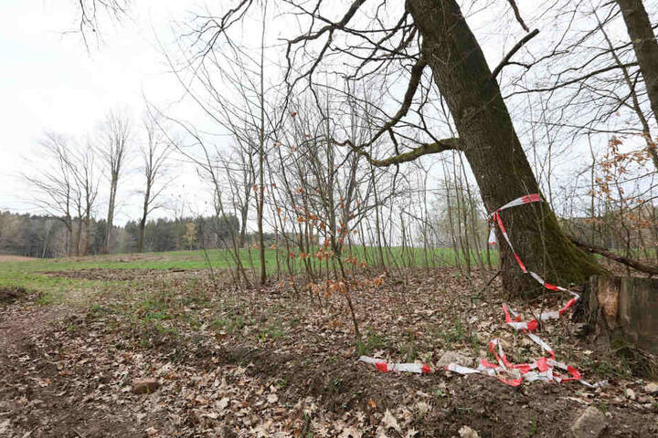 Hier an der Alberthöhe bei Lichtenstein soll die Entführung geendet haben, behauptete die Schülerin.