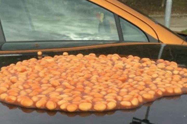 Auf ihrem Auto wurde eine große Portion Baked Beans verteilt.