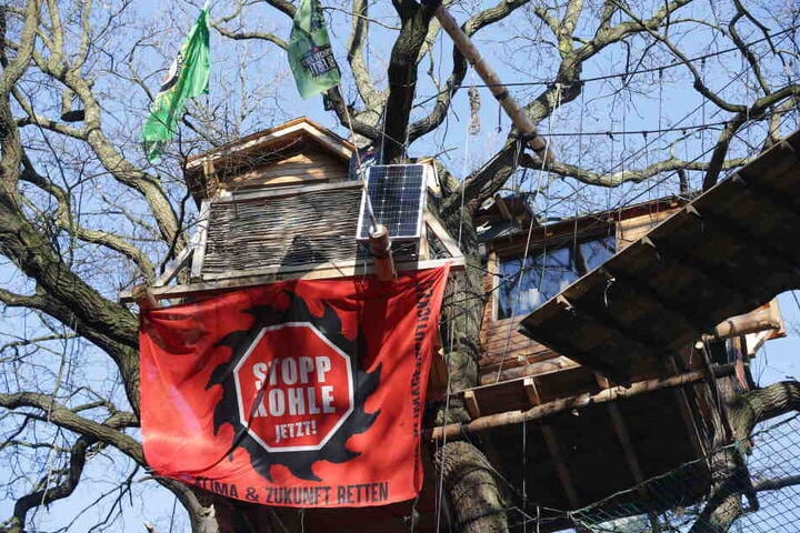 Ein Transparent "Stopp Kohle Jetzt!" an einem Baumhaus im Hambacher Forst.