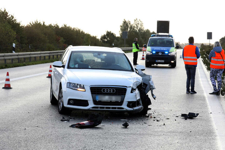 Ein Auto wich dem Zebra aus und verursachte einen Unfall.