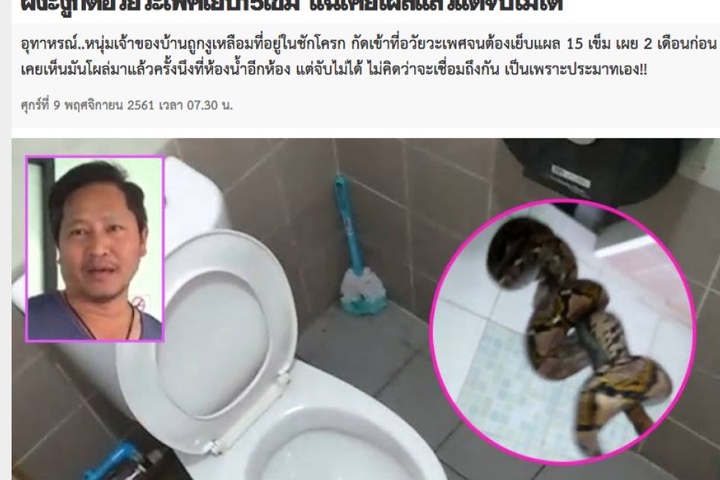 Der Mann musste mit 15 Stichen genäht werden.