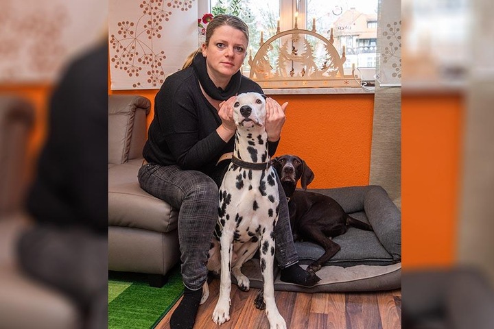 Silvester ist nichts für Harrys Ohren. Susanne Schaper (40, Linke) "flieht" daher mit ihren Hunden an die Nordsee.