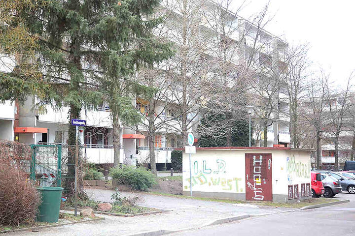 Die Polizei ermittelt nach dem Vorfall in der Sanddornstraße.