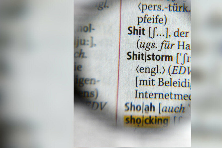 Durch eine Lupe ist der Begriff Shitstorm als Ausdruck für einen Entrüstungssturm in einem Internetmedium im neuen Duden des Jahres 2013 zu sehen. (Archivbild/Symbolbild)