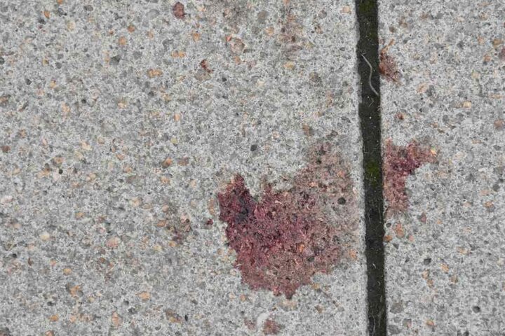 Auf der Straße sind Blutflecken zu sehen.