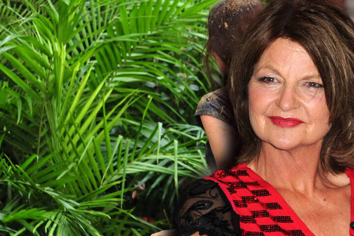 Auch mit dabei: NDW-Star Fräulein Menke (56).