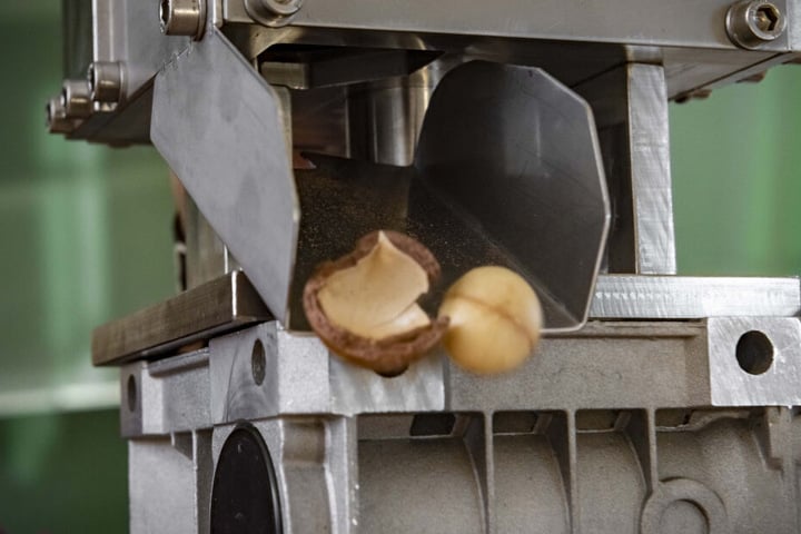 Die Maschine knackt selbst die harten Macadamianüsse mit Leichtigkeit und kann so Kleinbauern die mühsame Handarbeit erleichtern.