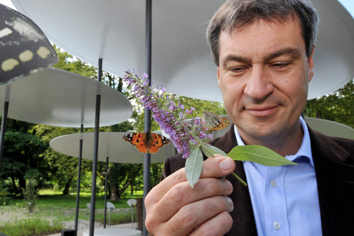 Ansturm auf Volksbegehren: Markus Söder plant einen runden Tisch. (Archivbild)