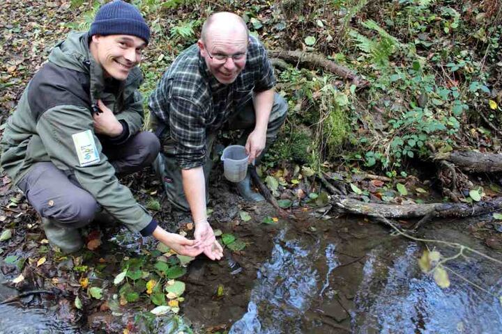 Die Tiere wurden in einem bewusst nicht genannten Bach im Nationalpark Eifel ausgesetzt.