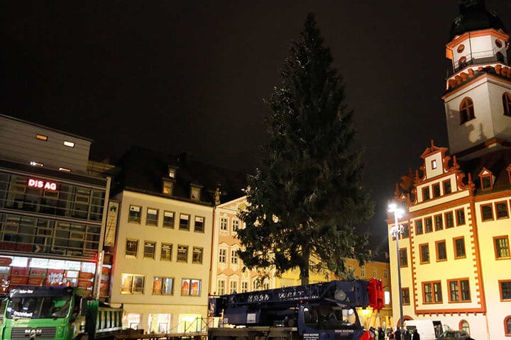 Endlich an Ort und Stelle: Um 18.45 Uhr befand sich die Chemnitzer
Weihnachtsfichte auf ihrem vorgesehenen Platz auf dem Markt.