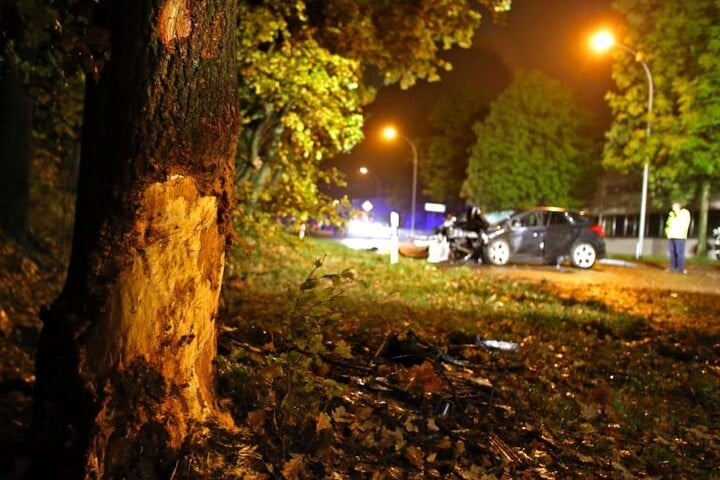 Der Ford krachte mit voller Wucht gegen einen Baum.