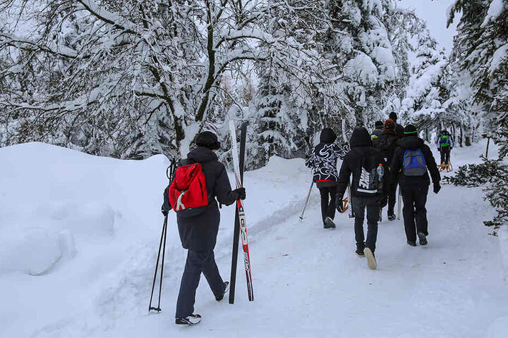 Schneebruch-Warnung? Viele Langläufer ignorierten den Rat des Tourist-Info-Büros Altenberg, gingen trotzdem in den Wald.