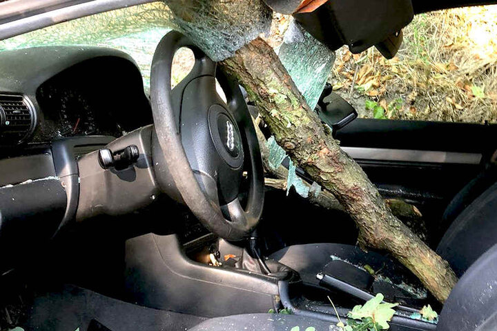 Der Ast machte vor der Frontscheibe des Autos nicht halt.
