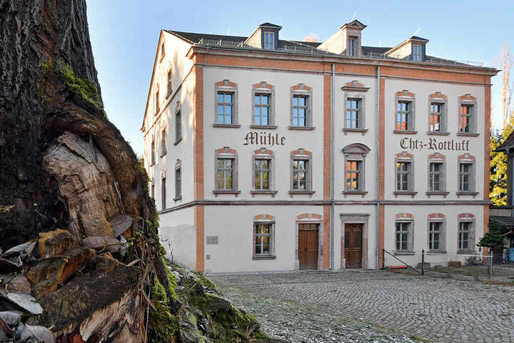 Das Elternhaus des Expressionisten steht am Rand des Chemnitzer Stadtteils Rottluff.