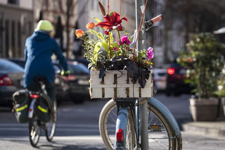 Der Frühling kommt nach Hessen.