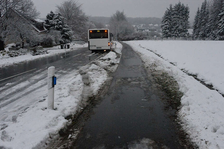 Der Fahrer konnte seinen Bus wieder auf die Straße bringen.