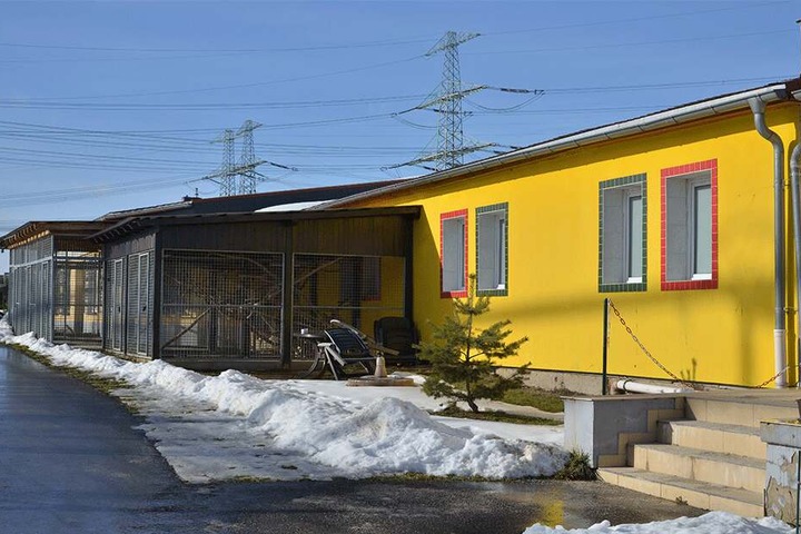 Das Tierheim Röhrsdorf kann sich über eine Spende freuen.