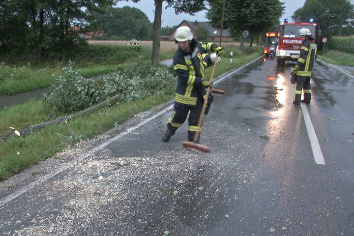 Die Feuerwehr kümmerte sich um die umgestürzten Bäume.