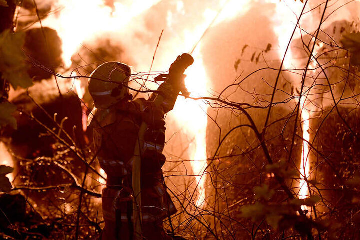 Die Feuerwehrmänner hatten alle Hand zu tun.