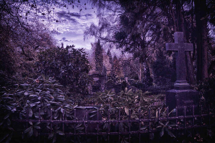 Verwuchert, düster, unheimlich: Dieser Friedhof ist nicht so weit entfernt, wie Ihr jetzt vielleicht denkt!